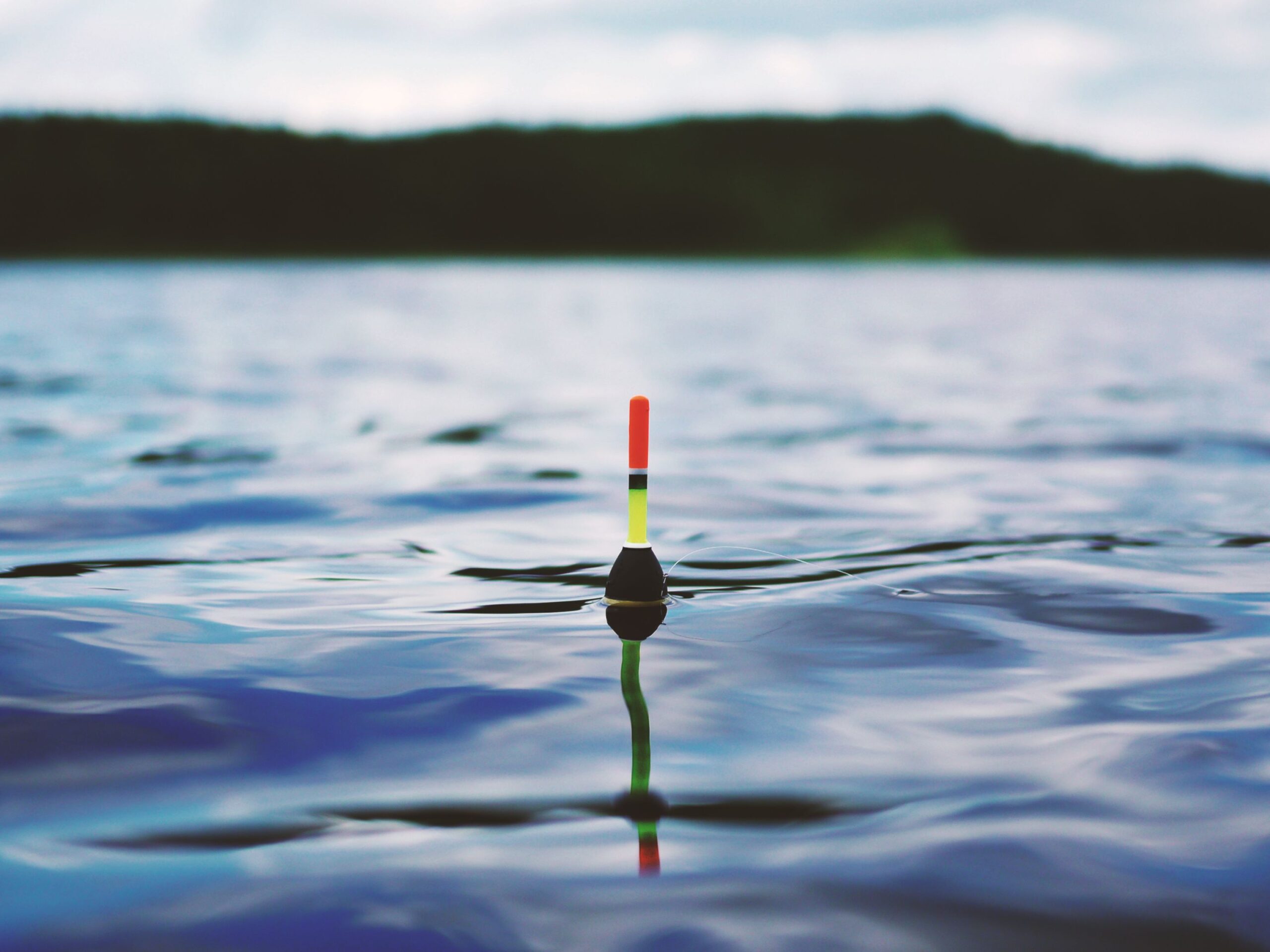 Errebi Fishing